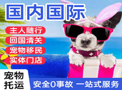 荷花机场物流国际宠物托运 【国